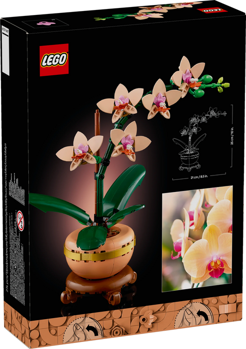 Mini-orchidea - 10343