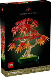 Bonsai di acero rosso giapponese - 10348 - Il Mattoncino