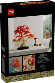 Bonsai di acero rosso giapponese - 10348 - Il Mattoncino