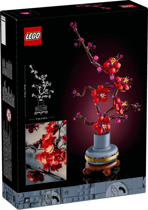 Albicocco giapponese - 10369 - Il Mattoncino