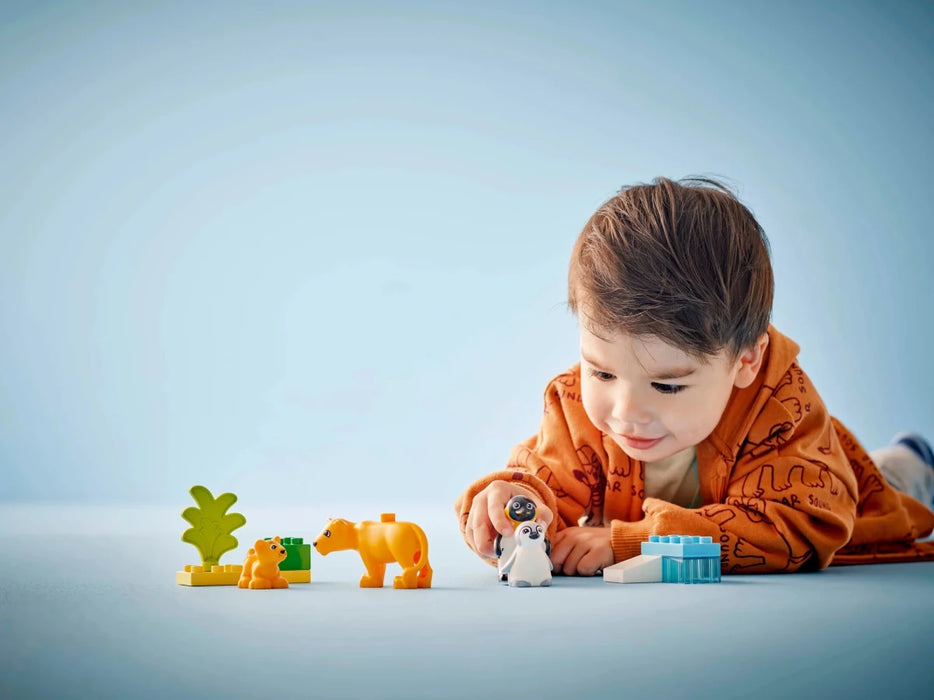 Famiglie di animali: pinguini e leoni - 10442 - Il Mattoncino