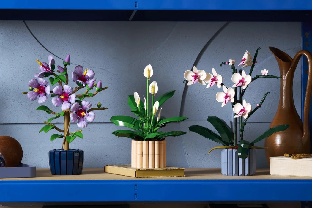 Spatifillo - 11504 - Il Mattoncino