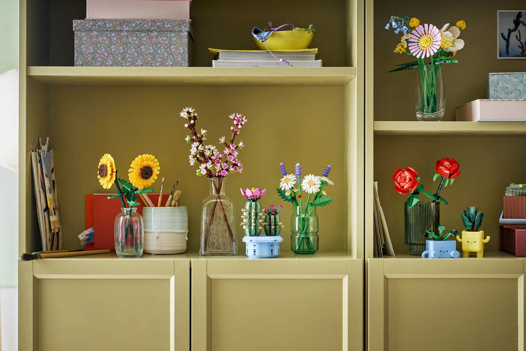 Cactus in fiore - 11509