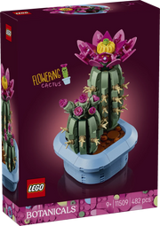 Cactus in fiore - 11509 - Il Mattoncino