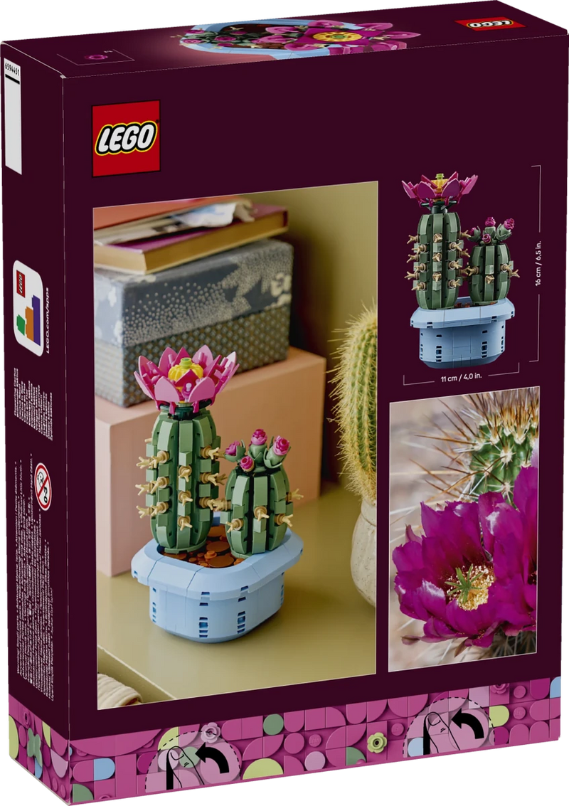 Cactus in fiore - 11509 - Il Mattoncino
