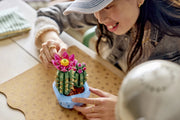 Cactus in fiore - 11509 - Il Mattoncino