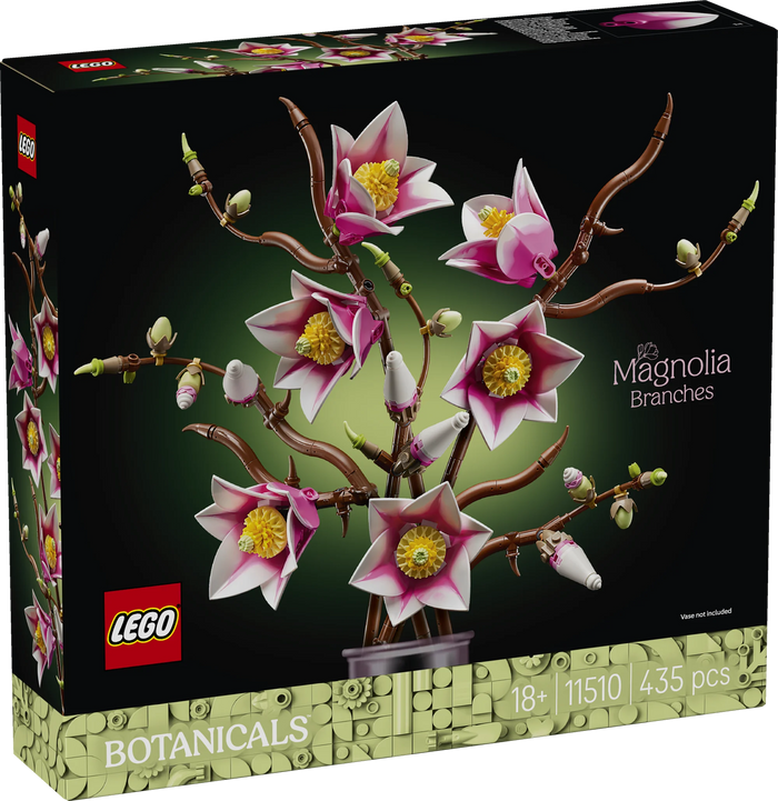 Rametti di magnolia - 11510