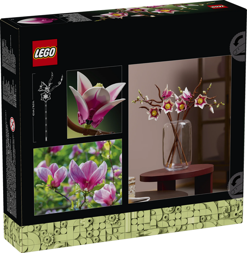 Rametti di magnolia - 11510