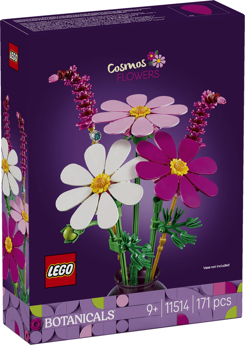 Fiori di Cosmos - 11514