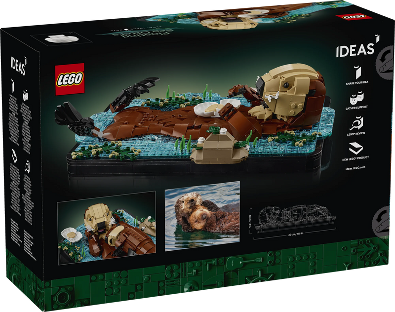Lontre marine - 21366