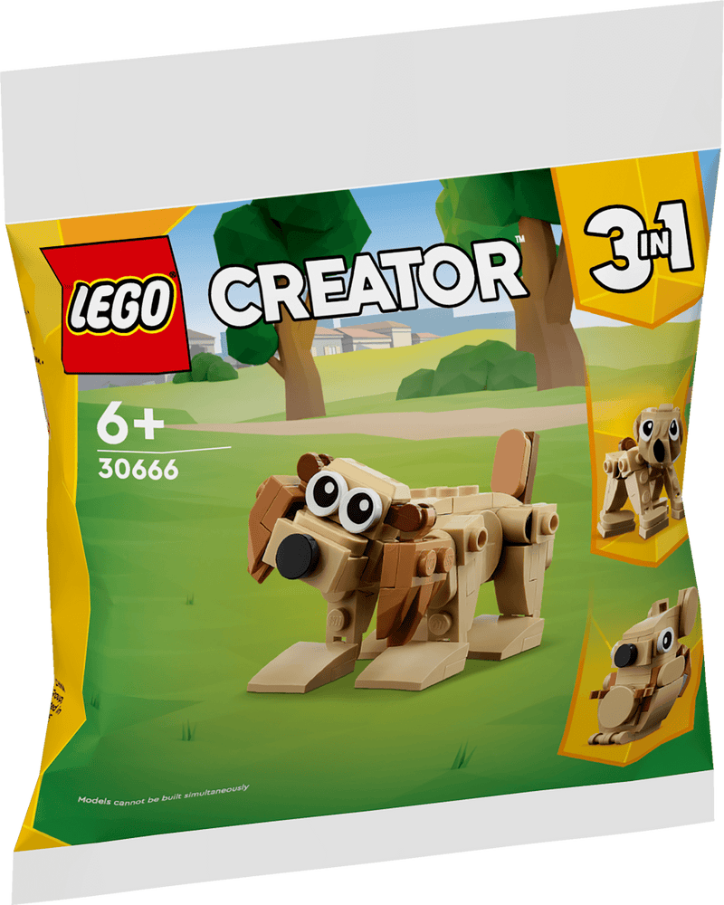 Animali regalo - 30666