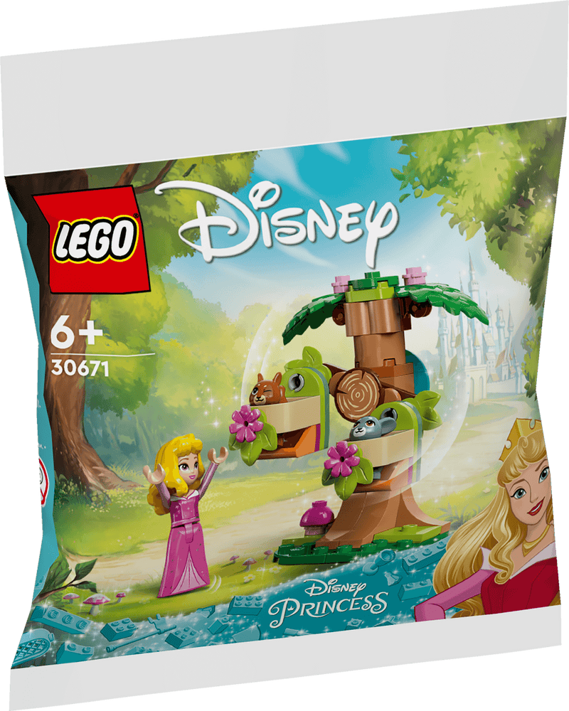 Il parco giochi nel bosco di Aurora - 30671