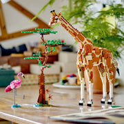 Animali del safari - 31150 - Il Mattoncino