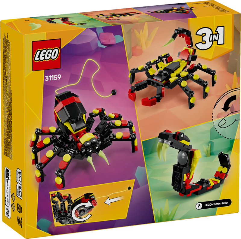 Animali selvatici: ragno trasformista - 31159