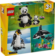 Animali selvatici: famiglia di panda - 31165 - Il Mattoncino