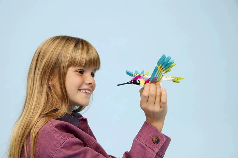 Animali selvatici: colibrì variopinto - 31384 - Il Mattoncino