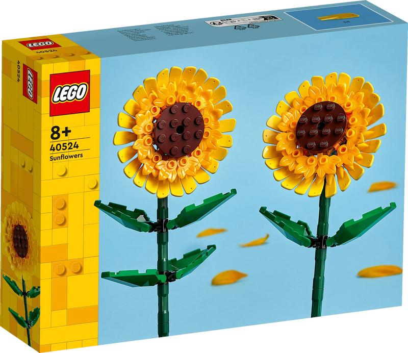 Girasoli - 40524