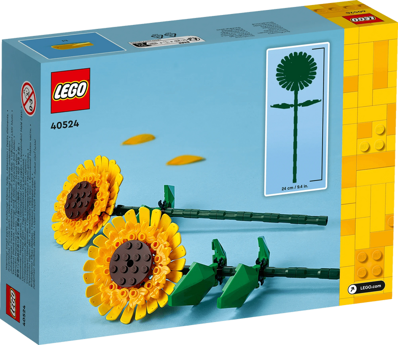 Girasoli - 40524
