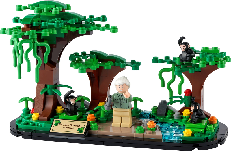 Jane Goodall Tribute - 40530