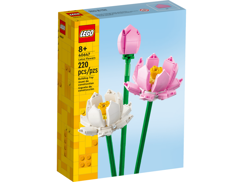 Fiori di loto - 40647
