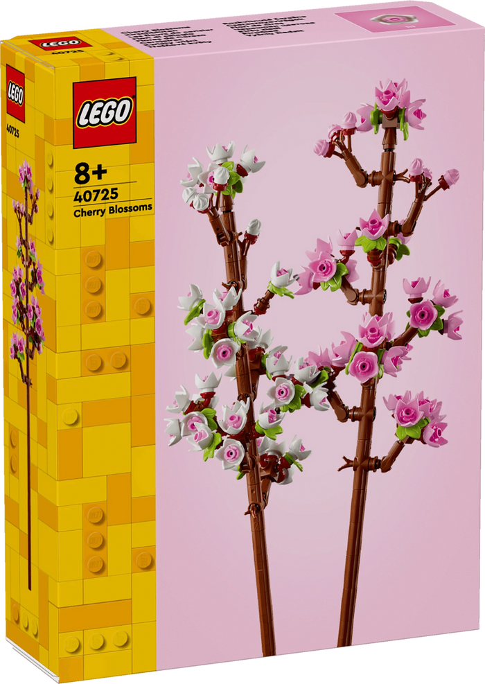 Fiori di ciliegio - 40725