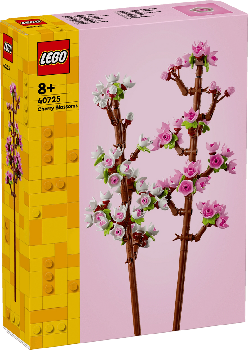 Fiori di ciliegio - 40725