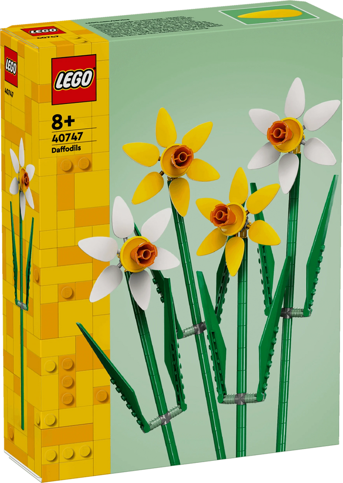 Narcisi - 40747