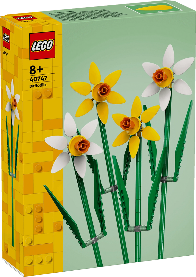 Narcisi - 40747