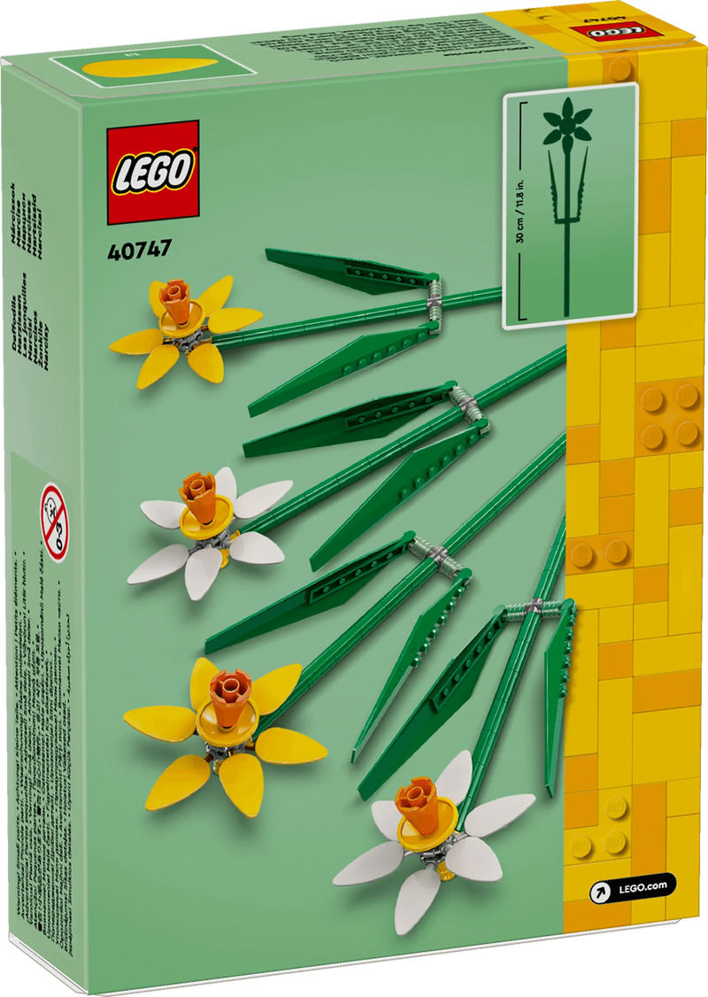 Narcisi - 40747