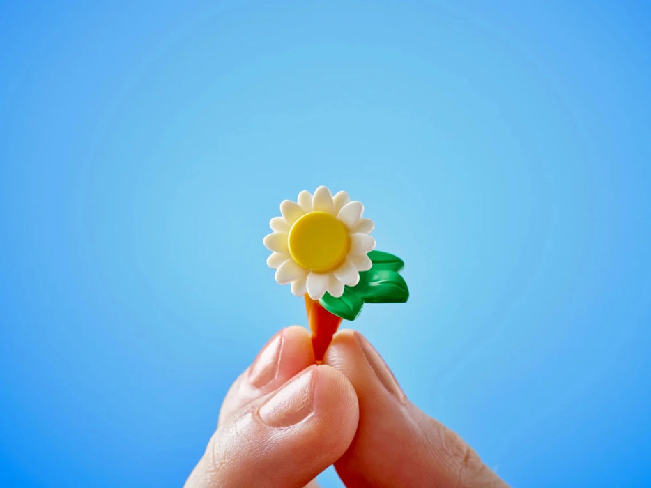 Caffè delle piante e Negozio di fiori - 42671 - Il Mattoncino