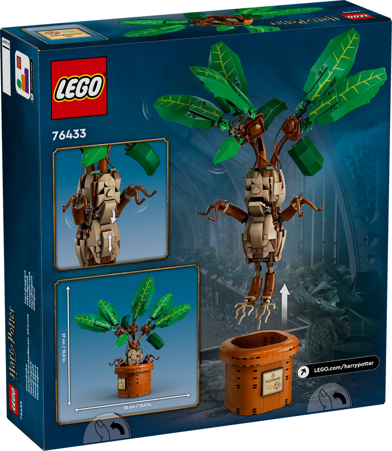 Mandragola - 76433