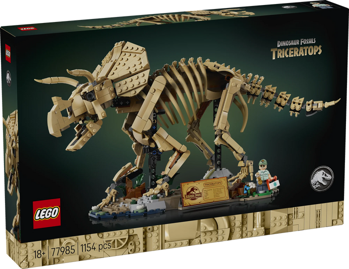 Fossili di dinosauro: Triceratopo - 77985