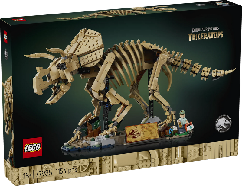 Fossili di dinosauro: Triceratopo - 77985