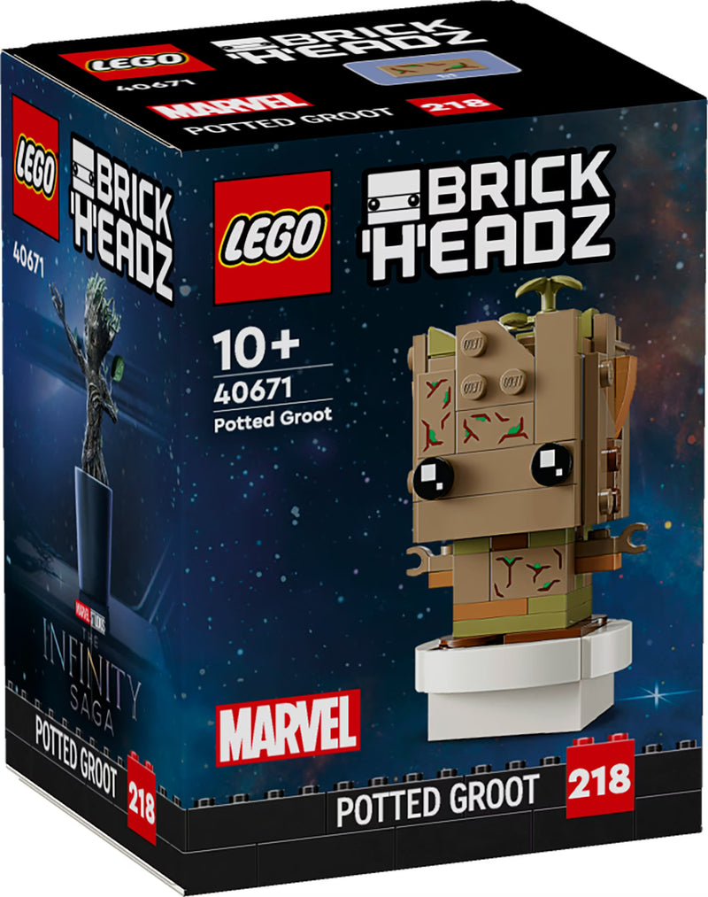 Groot in vaso - 40671