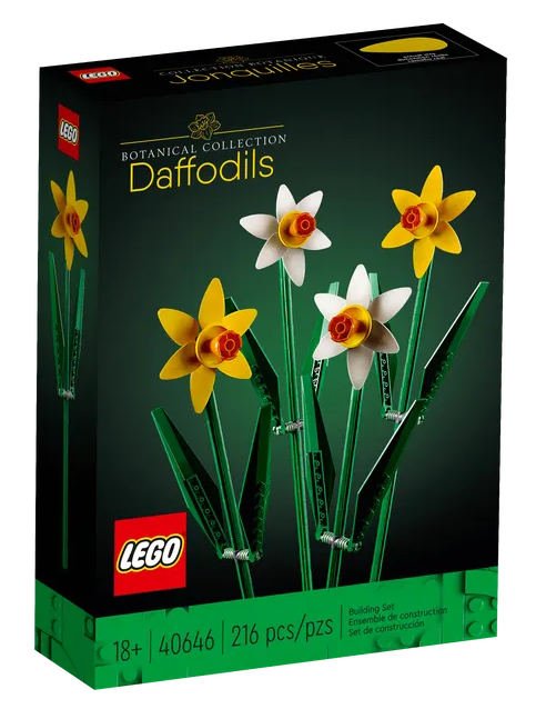 Narcisi - Daffodils - 40646