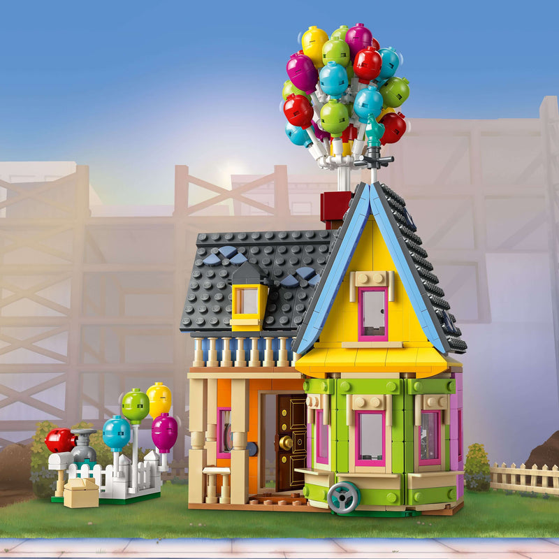 Casa di “Up” - 43217