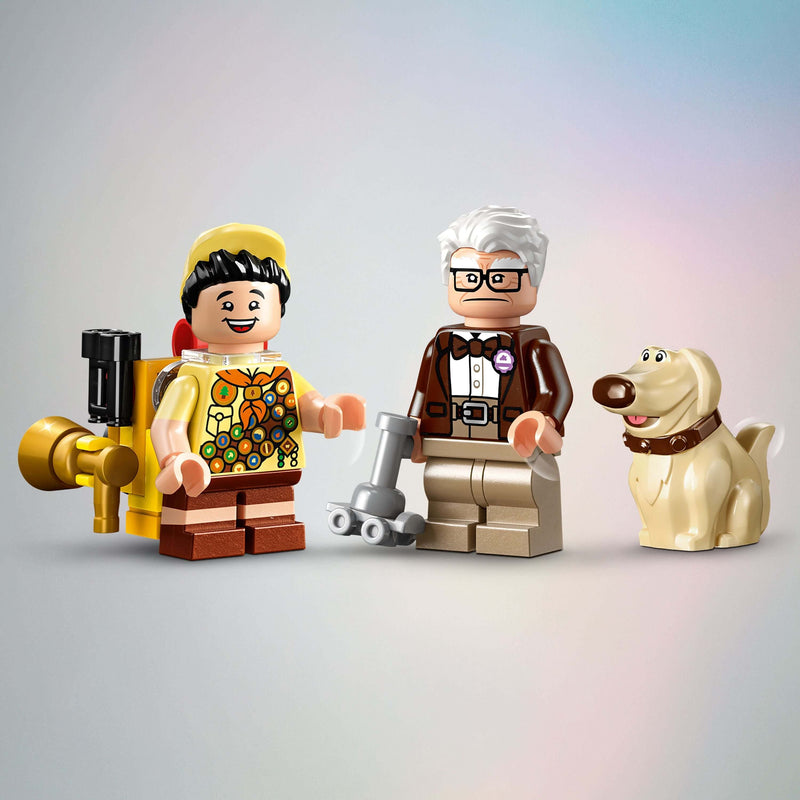 Casa di “Up” - 43217