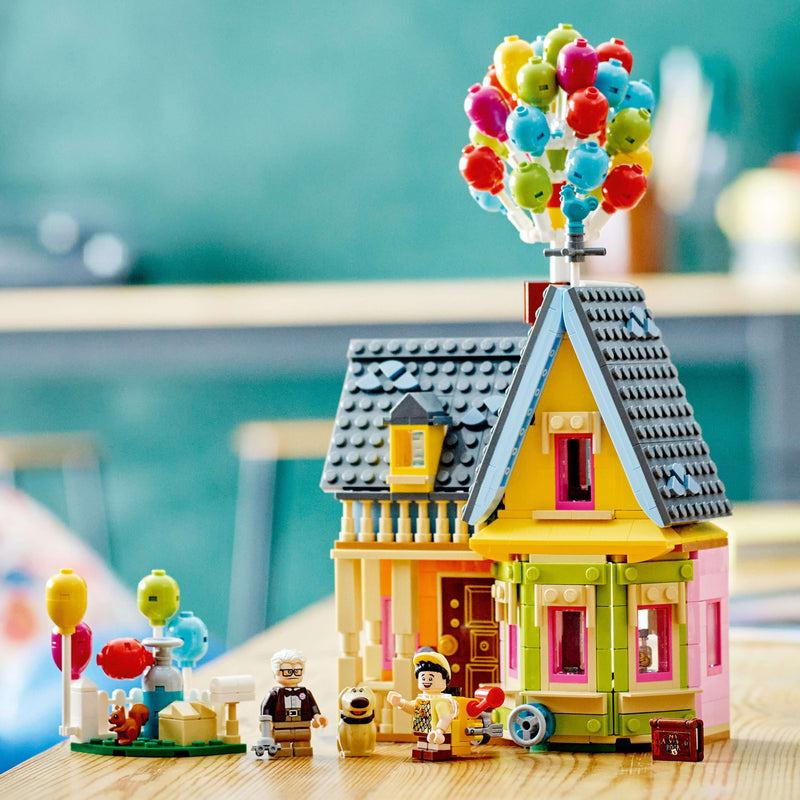Casa di “Up” - 43217